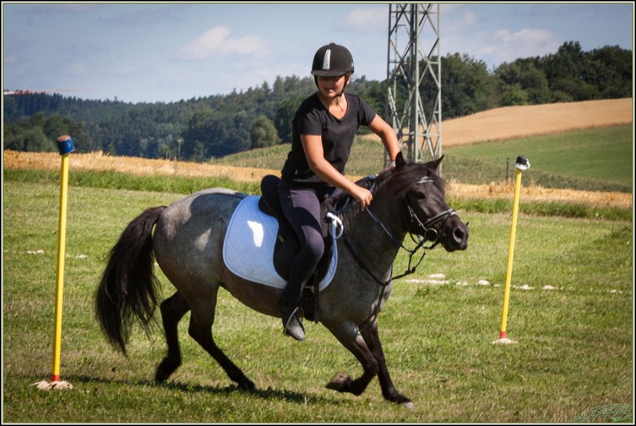 Mounted Games 021
